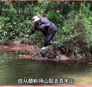 民宿老板回应哀牢山爆火 神秘面纱背后的真相