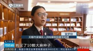 男子因种大麻于结婚当天被捕 婚礼变抓捕现场