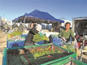 北京新發(fā)地春菜大量上市 價格親民嘗鮮正當時