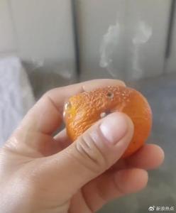 挤冒烟橘子小心肺部感染 霉菌孢子危害大