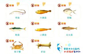 浙江5月1日起全面休漁，8種海產(chǎn)品8日起禁售 保護(hù)海洋生態(tài)資源