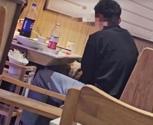 男子拿火鍋店餐具給狗喂食 寵物店內(nèi)進(jìn)食引爭議