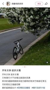 夹竹桃全株有毒千万别乱碰 美丽背后的危险