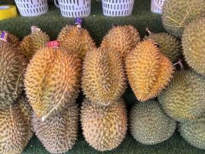 榴蓮在昆明大量上市價格親民 金枕榴蓮成熱銷主角