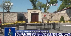 专家：俄乌基于美国压力举行谈判 美推动下的重启尝试