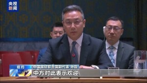中方呼吁胡塞武裝停止襲擾商船 維護(hù)紅海水域航道安全