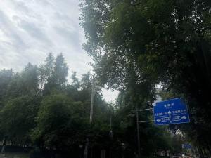 成都多地深夜惊现神秘哒哒声 夜鹰唱情歌扰民