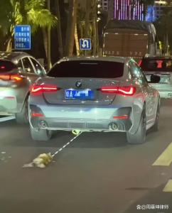 宝马车拖行小猫 多名群众一路追踪 残忍行为引众怒