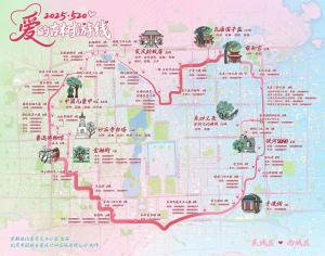 北京520古樹(shù)游線發(fā)布 愛(ài)心軌跡串聯(lián)古樹(shù)文化
