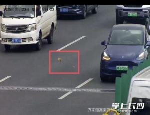 小貓?jiān)诟呒苁芾緳C(jī)停車施救 善舉化解交通擁堵