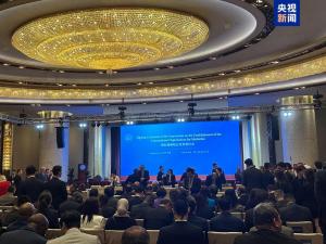 中國牽頭的國際調解院具體調解什么 填補全球治理赤字
