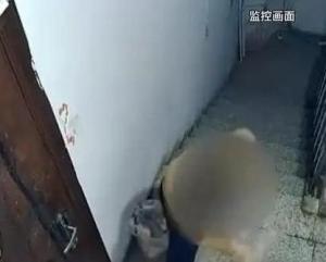 律師解讀男子遭精神病鄰居砸門咒罵 法律與權(quán)益保護解析