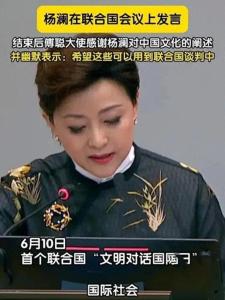 楊瀾在聯(lián)合國文明對話國際日發(fā)言,！