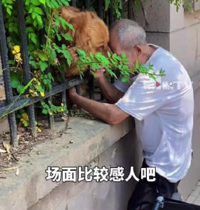 老人摔斷腿后與鄰居小狗交了朋友，經(jīng)常找鄰居家狗狗玩
