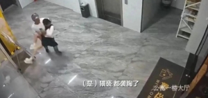 南方小眾蔬菜在北方賣爆了 南菜北進(jìn)趨勢(shì)上漲