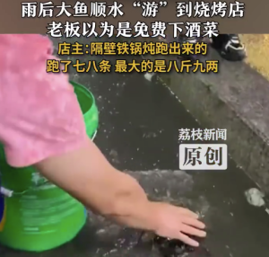 雨后積水大魚順?biāo)蔚綗镜?店主：鐵鍋燉的魚出逃游到燒烤店