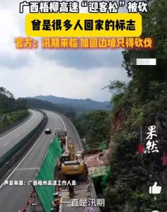 廣西梧柳高速回應(yīng)迎客松被砍 汛期安全考量