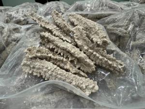海關(guān)查獲大量違規(guī)入境干海參 超量攜帶被查