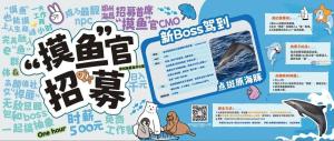 公園月薪3萬招摸魚官每天工作2小時 海豚互動引關(guān)注