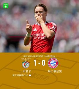 本菲卡1比0拜仁 謝爾德魯普制勝球