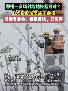 官方回應鄭州一商場外給枯枝掛綠葉：已派遣人員前往現(xiàn)場核查