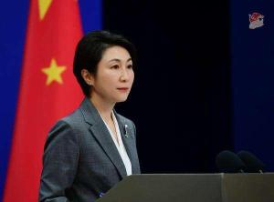 外交部：臺灣沒有什么“副總統” 民進黨當局圖謀不會得逞