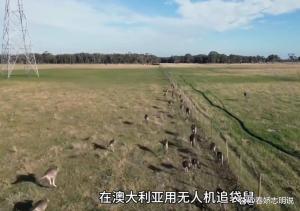 父母花50萬(wàn)帶5歲兒子騎游41國(guó) 英語(yǔ)零進(jìn)步引爭(zhēng)議