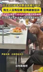 泰迪進餐廳污染餐具引投訴 店家回應：餐具全部銷毀了