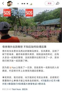 中國女游客在泰國被大樹砸中去世 家屬求助處理后事