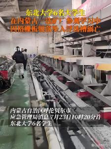 墜入浮選槽的大學(xué)生與事件調(diào)查之問(wèn) 安全生產(chǎn)管理漏洞