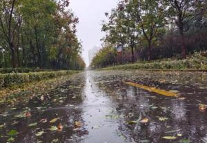 立冬下雨有什么说法 预示冬季多雨雪
