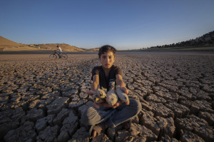 今年将成有记录以来第2或第3热年份 极端高温持续