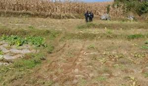 1600斤玉米深夜被盗民警全数追回 嫌疑人落网归还失物