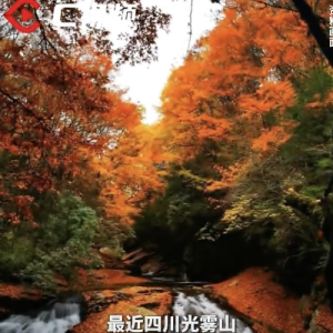 四川红叶美到刷屏！