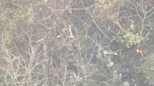日本一架小型飞机坠毁 3人遇难