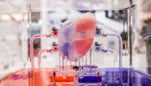 核心医疗产品商业化难题待解 市场扩张需医保支持