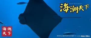 我们是否正在过度保护明星物种？警惕单一数量指标下的生态失衡 生态系统功能被忽视