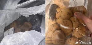 山姆“極速達(dá)”麻薯盒內(nèi)出現(xiàn)活鼠 消費(fèi)者維權(quán)啟動