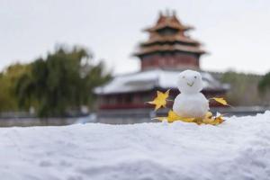 北京初雪 溫暖背后的堅(jiān)守與智慧 城市治理的詩意答卷