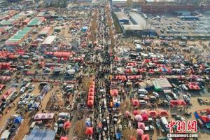 人这一辈子一定要赶一次山东大集 感受市井烟火与乡土文化