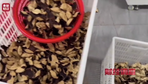 广西浦北：已封存“速成工艺陈皮” 将严格依法处理涉事经营主体