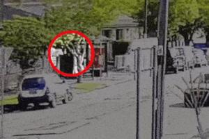 悉尼枪击案两名枪手上月去过菲律宾 调查极端组织关联