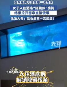 酒店回应房间拉开窗帘是泳池：将整改 隐私隐患引关注
