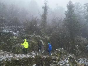 女子进山放羊失联 众人接力救援