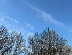 北京今天白天晴转多云，阵风六级左右，最高气温7℃ 早晚注意防寒保暖