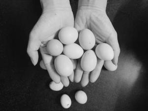 高一女生单手握力超93公斤 力量源自长期训练