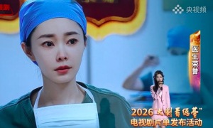 宋轶高智女主脸具象化！文化工作者要有文化也在宋轶身上一整个具像化了