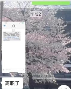 携程向员工道歉 系统乌龙引发恐慌