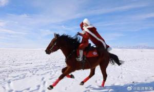 贺娇龙坠马去世 意外事故夺命