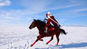 贺娇龙受伤仍在救治 坠马事故引发关注